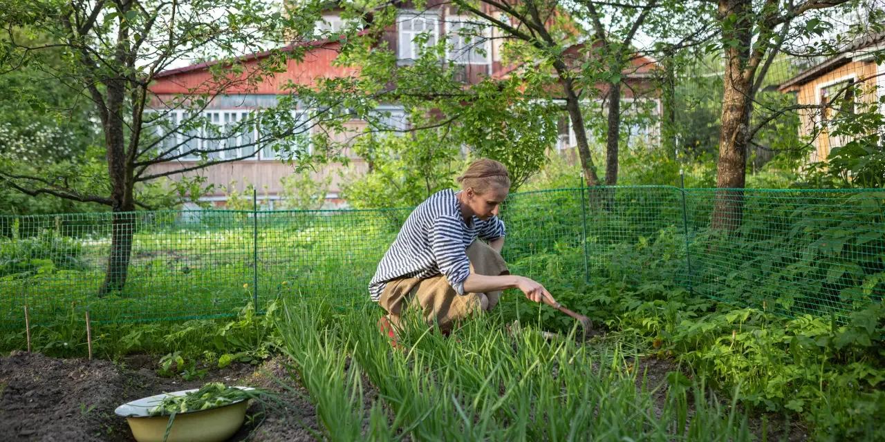 agroforestry agroforestry